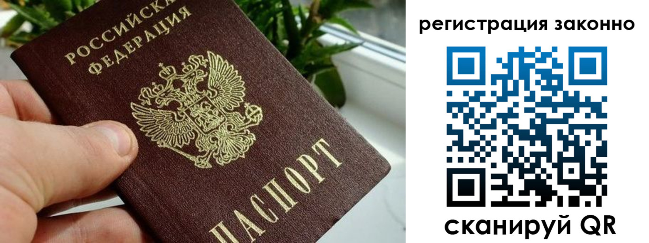 прописка гарантия в Краснокамске